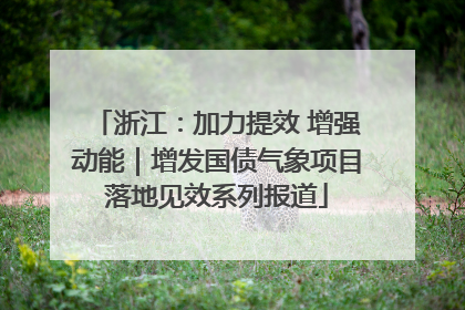 浙江：加力提效 增强动能｜增发国债气象项目落地见效系列报道