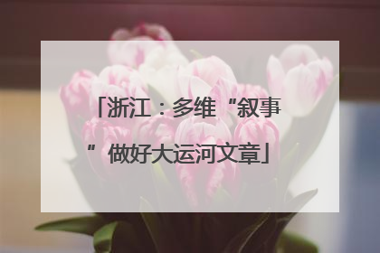 浙江：多维“叙事”做好大运河文章