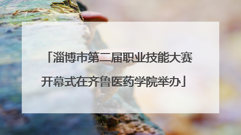 淄博市第二届职业技能大赛开幕式在齐鲁医药学院举办