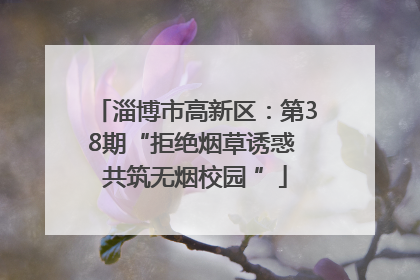 淄博市高新区：第38期“拒绝烟草诱惑 共筑无烟校园 ”