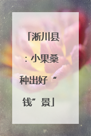 淅川县：小果桑种出好“钱”景