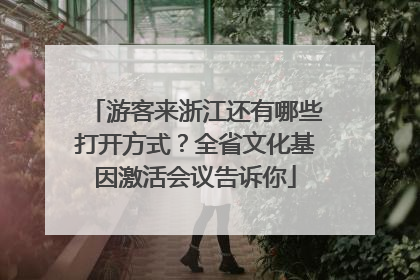 游客来浙江还有哪些打开方式？全省文化基因激活会议告诉你