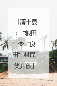 清丰县：“粮田”变“良田”村民笑开颜