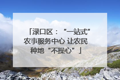 渌口区：“一站式”农事服务中心 让农民种地“不操心”