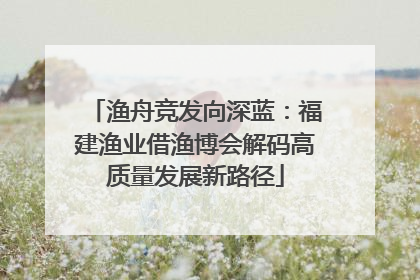 渔舟竞发向深蓝：福建渔业借渔博会解码高质量发展新路径