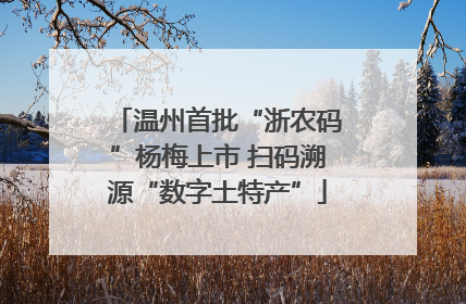 温州首批“浙农码”杨梅上市 扫码溯源“数字土特产”