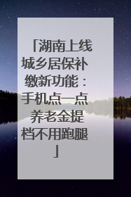 湖南上线城乡居保补缴新功能：手机点一点 养老金提档不用跑腿