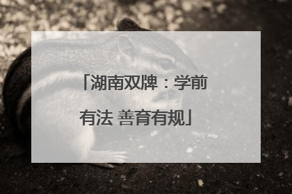 湖南双牌：学前有法 善育有规