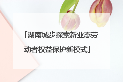 湖南城步探索新业态劳动者权益保护新模式
