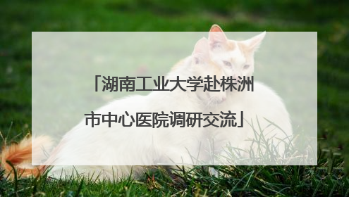 湖南工业大学赴株洲市中心医院调研交流