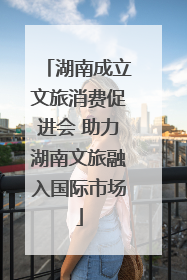 湖南成立文旅消费促进会 助力湖南文旅融入国际市场