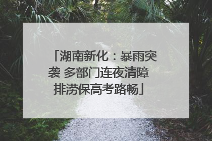 湖南新化：暴雨突袭 多部门连夜清障排涝保高考路畅