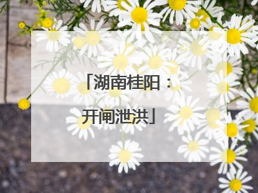 湖南桂阳：开闸泄洪