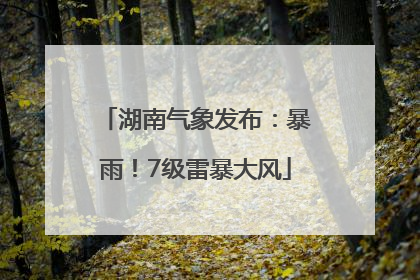 湖南气象发布：暴雨！7级雷暴大风