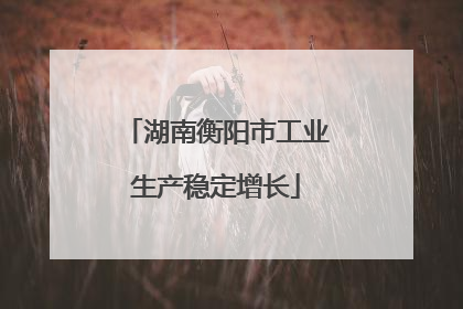 湖南衡阳市工业生产稳定增长