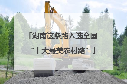 湖南这条路入选全国“十大最美农村路”