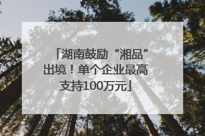 湖南鼓励“湘品”出境！单个企业最高支持100万元