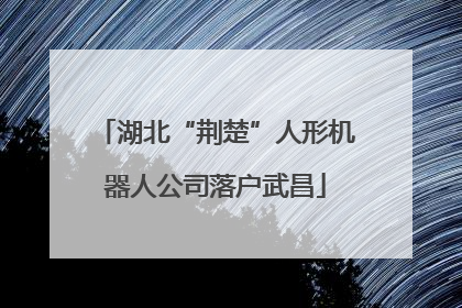 湖北“荆楚”人形机器人公司落户武昌