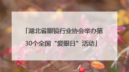 湖北省眼镜行业协会举办第30个全国“爱眼日”活动