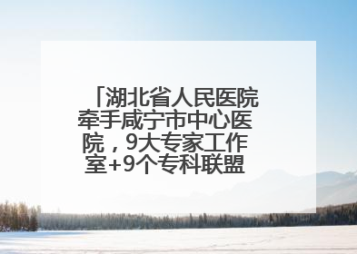 湖北省人民医院牵手咸宁市中心医院，9大专家工作室+9个专科联盟筑牢区域医疗网