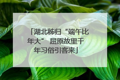湖北秭归“端午比年大” 屈原故里千年习俗引客来