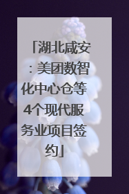 湖北咸安：美团数智化中心仓等4个现代服务业项目签约