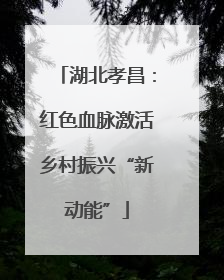 湖北孝昌：红色血脉激活乡村振兴“新动能”