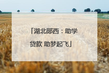 湖北郧西：助学贷款 助梦起飞