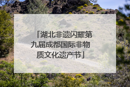 湖北非遗闪耀第九届成都国际非物质文化遗产节