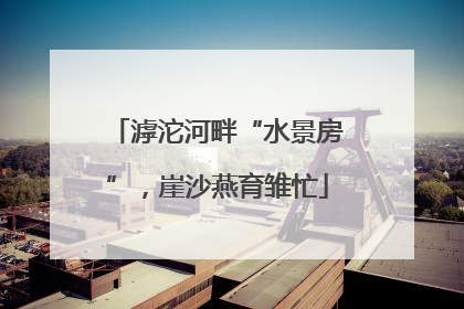 滹沱河畔“水景房”，崖沙燕育雏忙