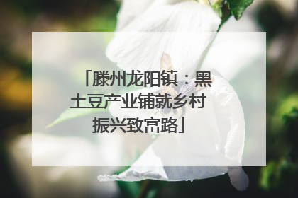 滕州龙阳镇：黑土豆产业铺就乡村振兴致富路
