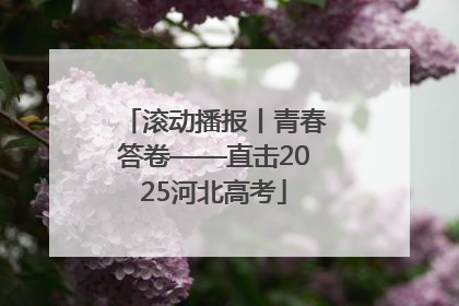 滚动播报丨青春答卷——直击2025河北高考