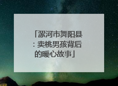漯河市舞阳县：卖桃男孩背后的暖心故事