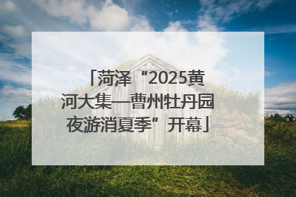 菏泽“2025黄河大集—曹州牡丹园夜游消夏季”开幕