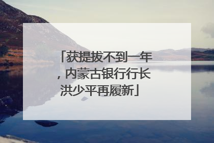 获提拔不到一年，内蒙古银行行长洪少平再履新