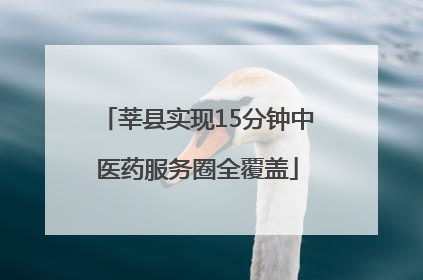 莘县实现15分钟中医药服务圈全覆盖