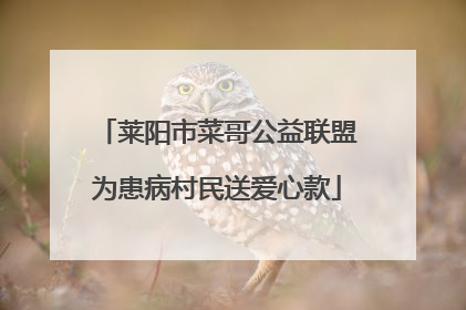 莱阳市菜哥公益联盟为患病村民送爱心款