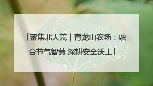 聚焦北大荒｜青龙山农场：融合节气智慧 深耕安全沃土