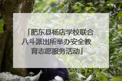 肥东县杨店学校联合八斗派出所举办安全教育志愿服务活动