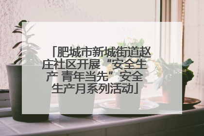 肥城市新城街道赵庄社区开展“安全生产 青年当先”安全生产月系列活动