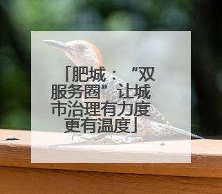 肥城：“双服务圈”让城市治理有力度更有温度