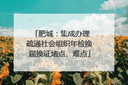 肥城：集成办理 疏通社会组织年检换届换证堵点、难点