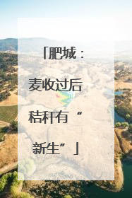 肥城：麦收过后秸秆有“新生”