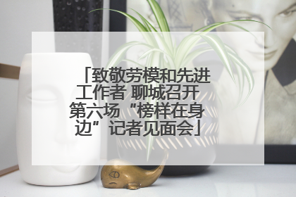 致敬劳模和先进工作者 聊城召开第六场“榜样在身边”记者见面会