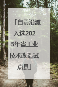 自贡沿滩入选2025年省工业技术改造试点县
