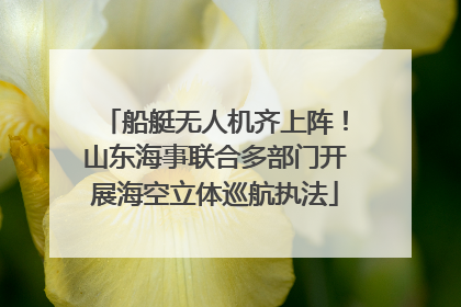 船艇无人机齐上阵！山东海事联合多部门开展海空立体巡航执法