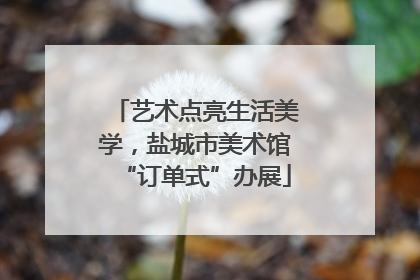 艺术点亮生活美学，盐城市美术馆“订单式”办展