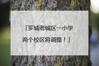 芗城老城区一小学两个校区将调整！