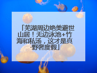 芜湖周边绝美避世山居！无边泳池+竹海和私汤，这才是真·野奢度假