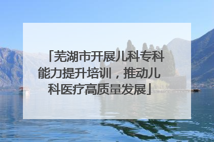 芜湖市开展儿科专科能力提升培训，推动儿科医疗高质量发展